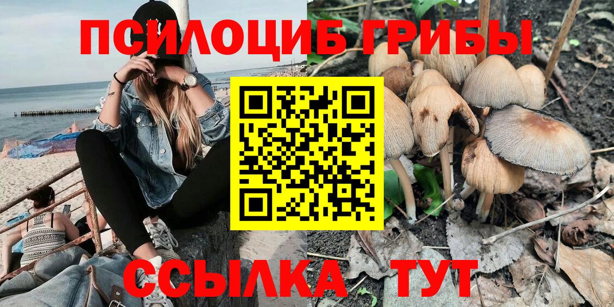 Зеленогорск  Псилоцибиновые грибы Magic Shrooms  Вход с VPN 