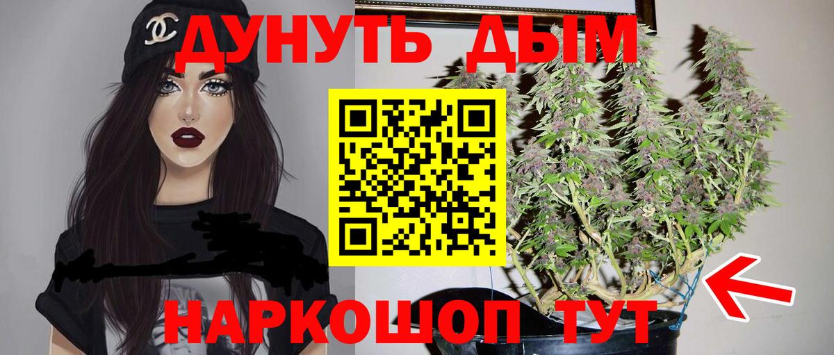 Бошки марихуана планчик Зеленогорск